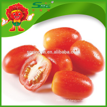 TOMATES FRESCOS DA CEREJA